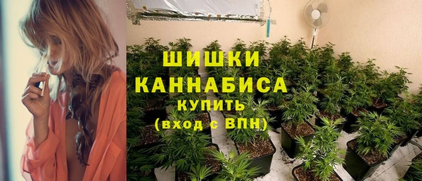 ГАЛЛЮЦИНОГЕННЫЕ ГРИБЫ Армянск