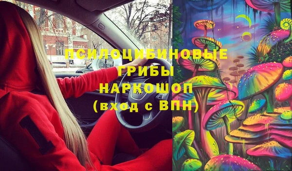 a pvp Аркадак
