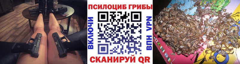 Псилоцибиновые грибы мицелий Сокол